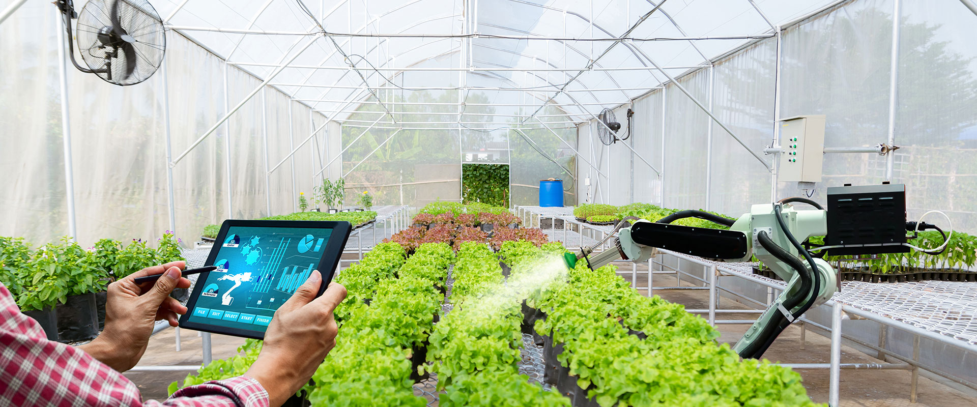 Greenhouse_6486390973 ビニールハウスでのIoT活用事例